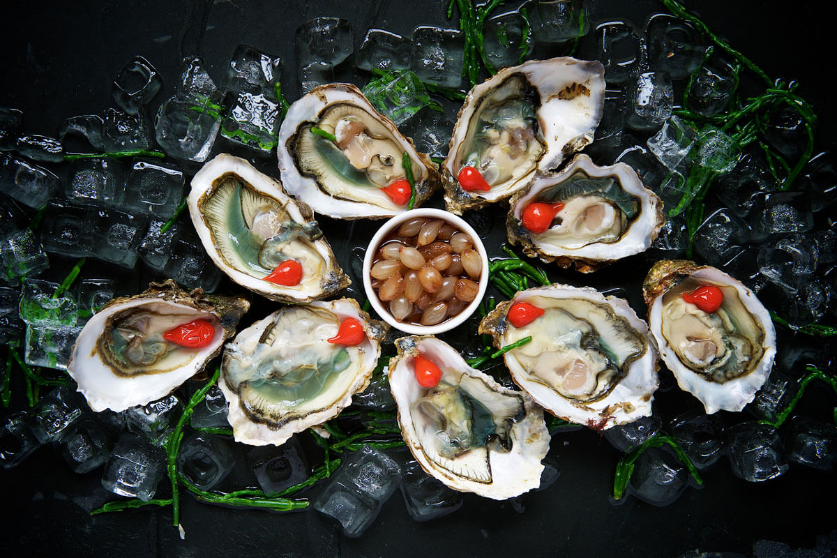 Bluff Oysters Chowcation