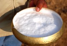 Camel Milk Middle Eastern delicacy