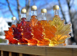 Canadian Maple Syrup