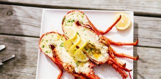 Fiordland Crayfish (rock lobster)