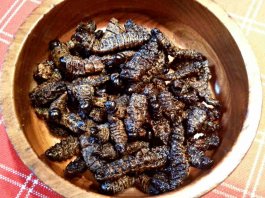 mopane worms