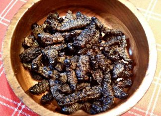 mopane worms